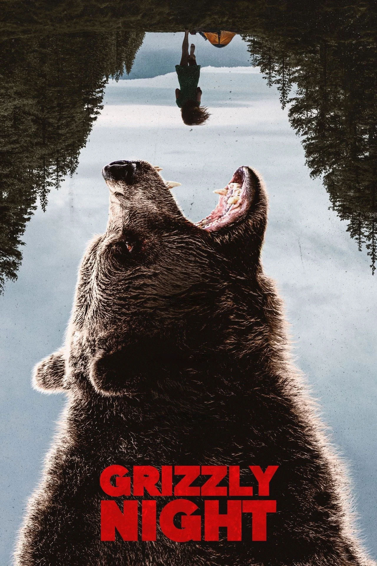 Thảm Kịch Gấu Nâu Grizzly Night